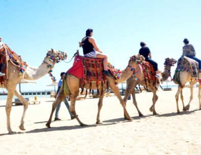 Équitation et promenades à Hurghada